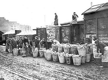 Teltower Kriegswirtschaftsgesellschaft 1917