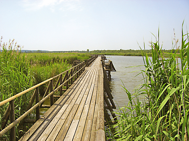 Federseesteg Bad Buchau