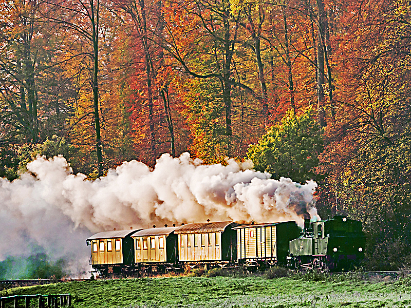 Dampfzugfahrt bei Schönbuch