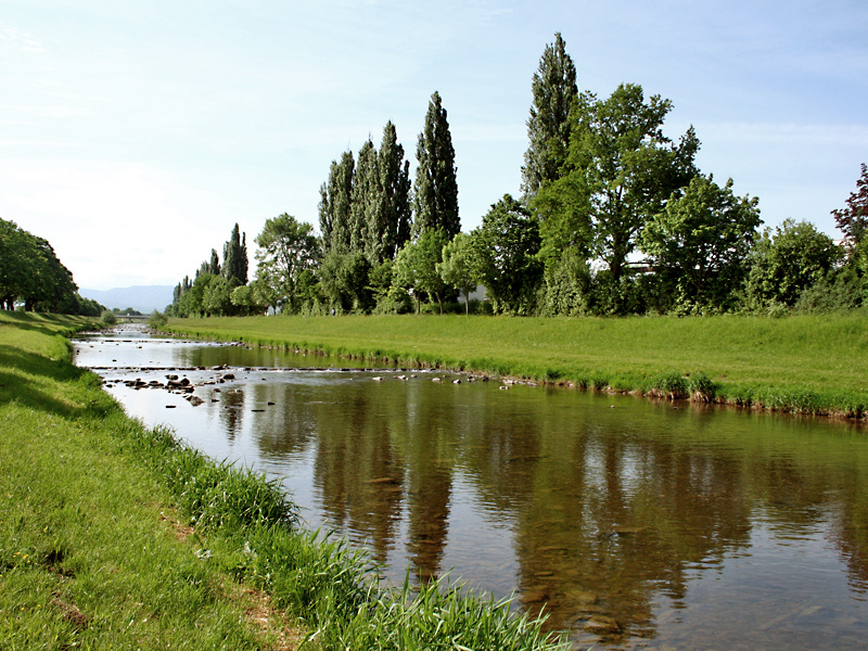 Die Elz bei Emmendingen