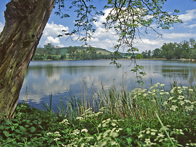 Aalkistensee