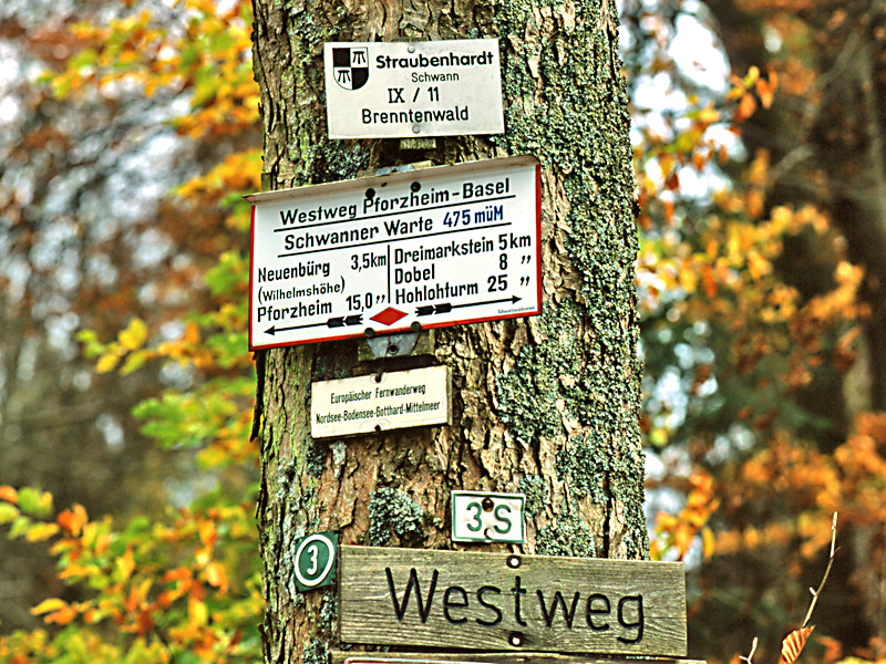 Wegschilder an der Schwanner Warte