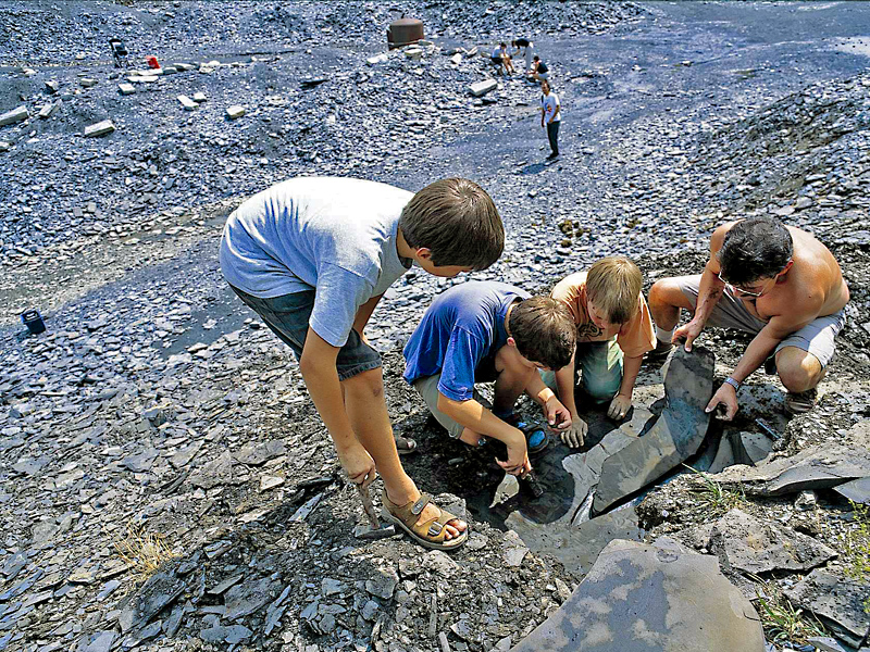 Urweltsteinbruch Holzmaden