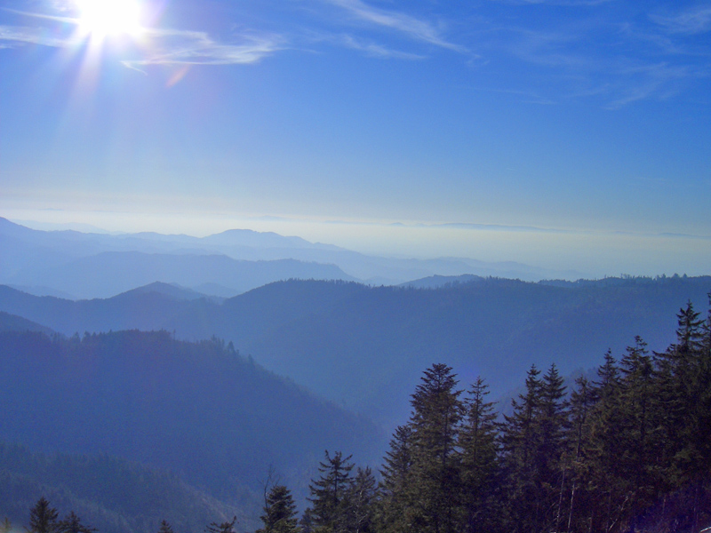 Schwarzwalhochstraße