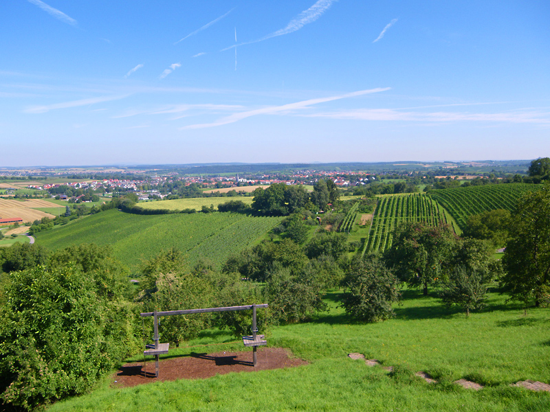 Weinbau im Kraichgau