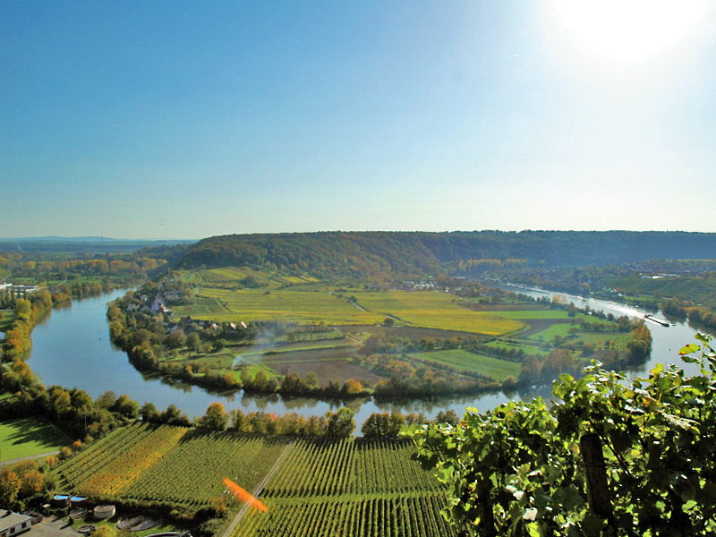 Neckarschleife Mundelsheim