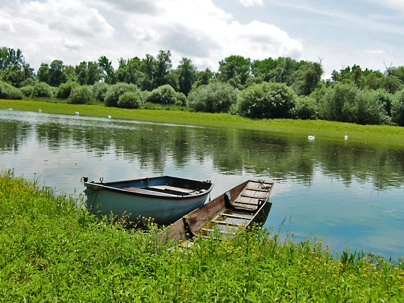 Rhein bei Plittersdorf