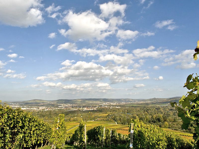 Kappelberg bei Fellbach