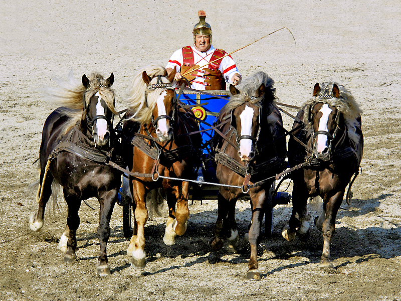 Hengstparade in Marbach