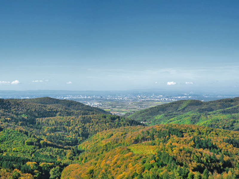 Blick vom Telschik-Turm Wilhelmsfeld