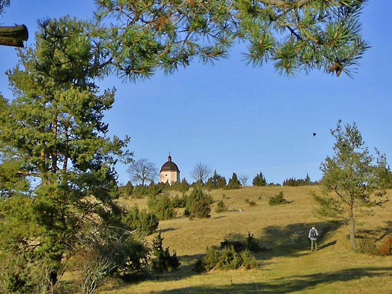 Wacholderheide Alter Berg