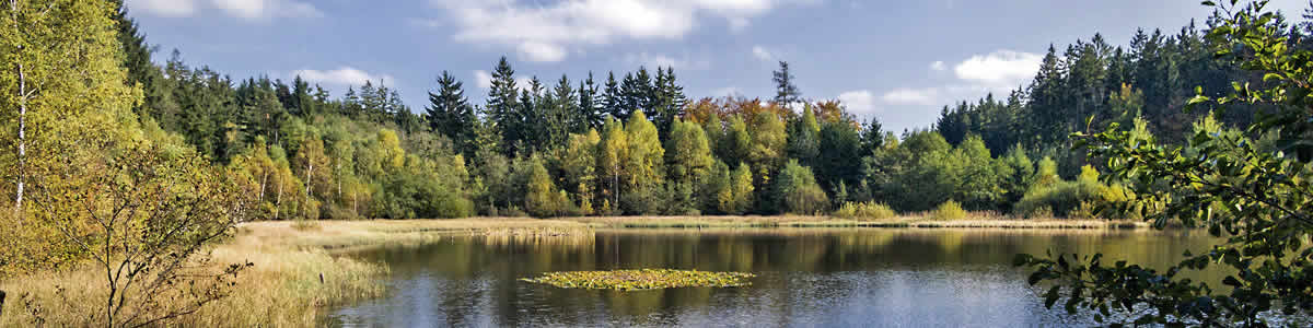 Mülbener See